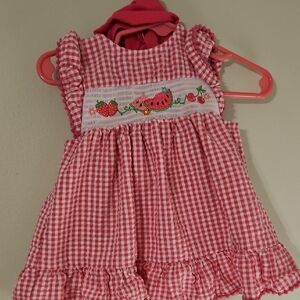 Pink Gingham Kids Dress with Embroidered Fruits